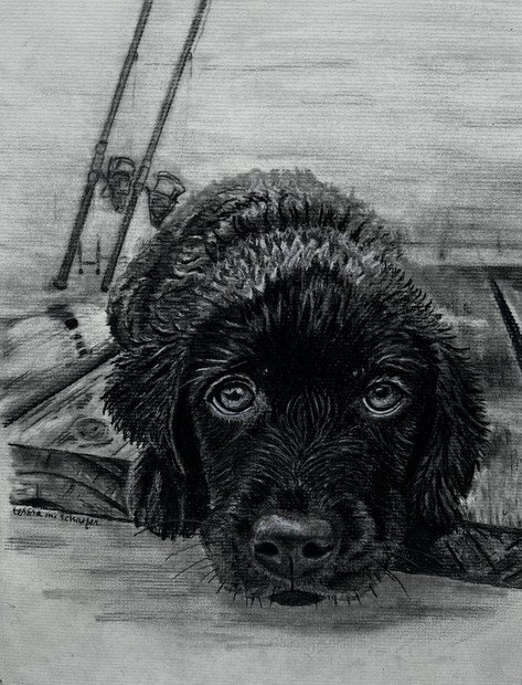 Charcoal drawing of a Labrador Retriever puppy resting on a fishing dock