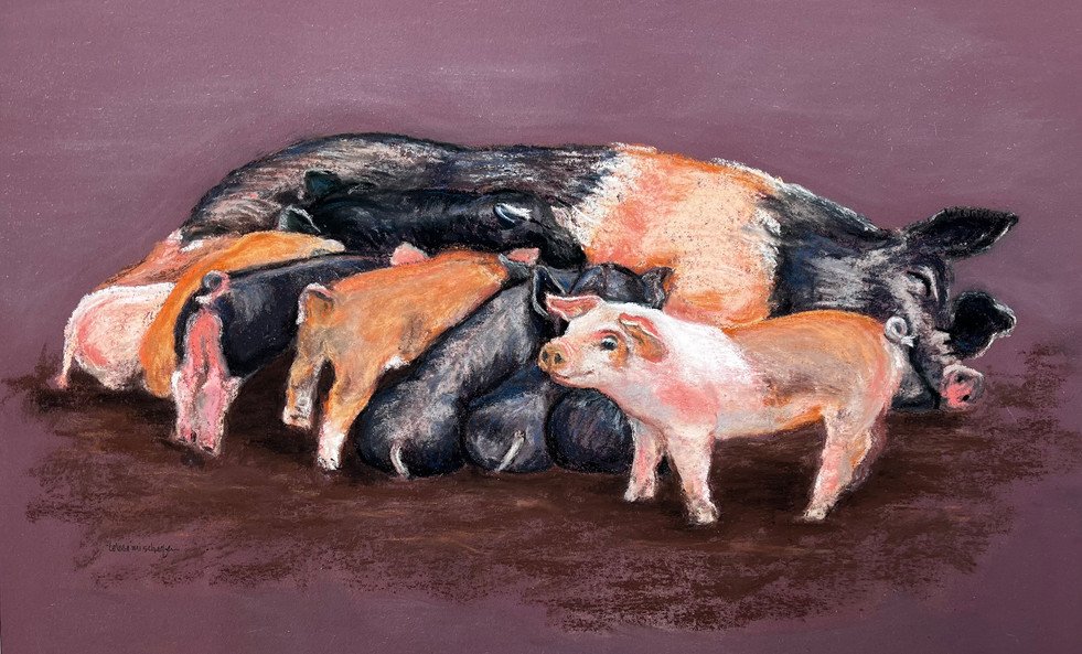 Pastel painting of momma sow with her nursing piglets.